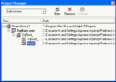      Project Manager